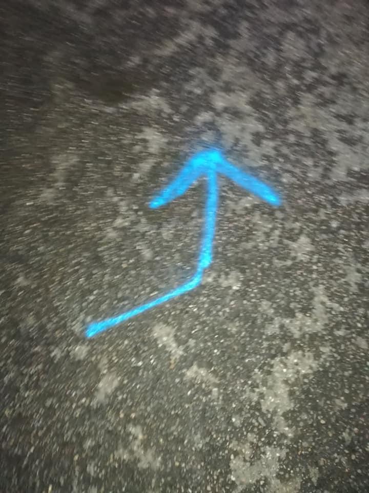 81887494 2150302765266330 5364135452276162560 n